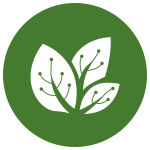 noun_Circuit Leaves_317819
