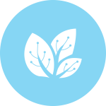 noun-circuit-leaves-317819-FFFFFF (1)